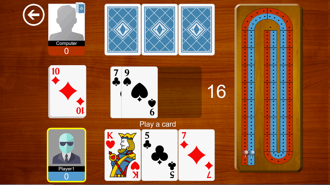 Playing Card Games Online