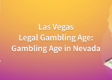 Navigating the World of Online Slots: Understanding Legal Gambling Age in Vegas